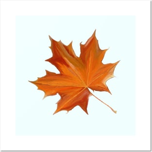 Autumn Maple Leaf Posters and Art